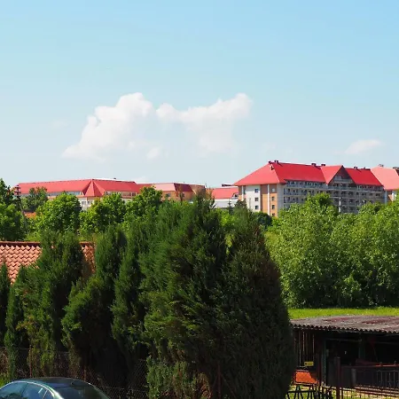 Mragowska - Zabi Staw *